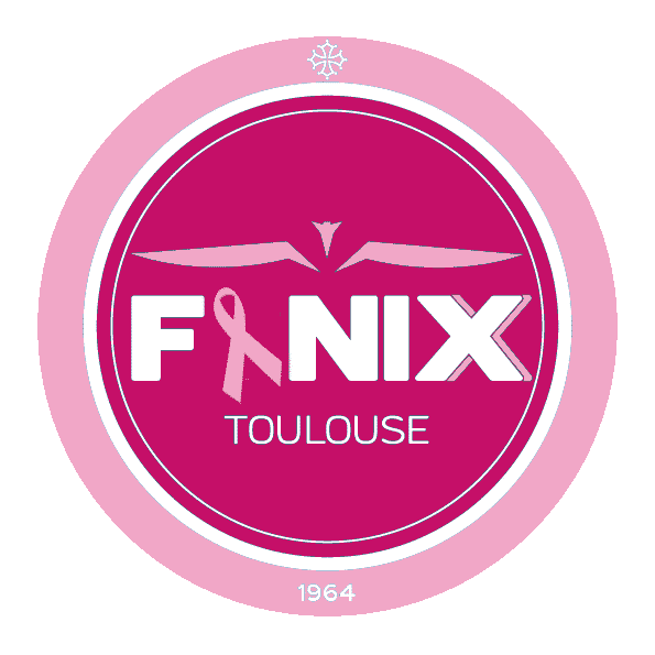 Toulouse-Handball-Octobre-Rose-Cancer-du-sein